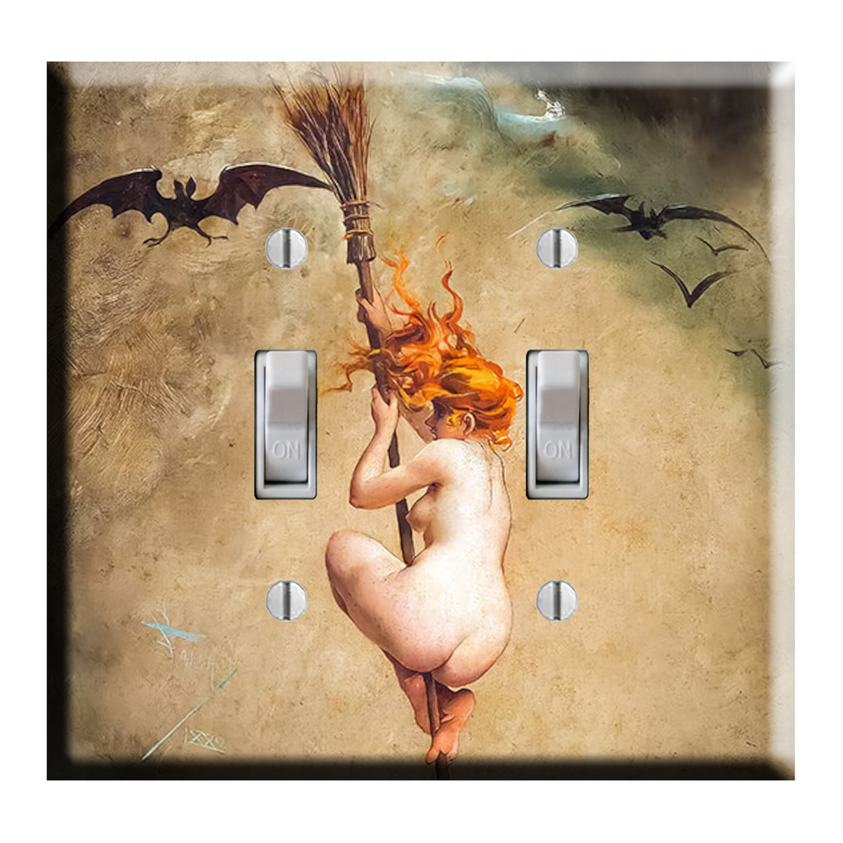 The Witch on Broom DOUBLE Toggle Light Switch Plate Cover