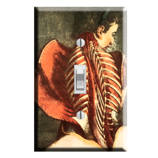 The Flayed Angel Victorian Medical Art Light Switch Plate Cover Gothic Decor