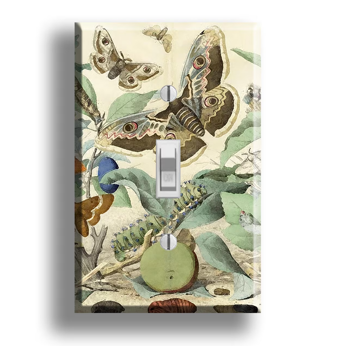 A single toggle  light switch plate featuring a vintage-style illustration of moths, leaves, and bugs