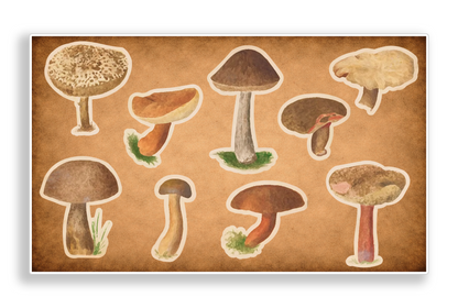 Vintage Mushroom Nature Ephemera Vinyl Decal Sticker Sheet Journal Planner