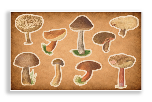 Vintage Mushroom Nature Ephemera Vinyl Decal Sticker Sheet Journal Planner