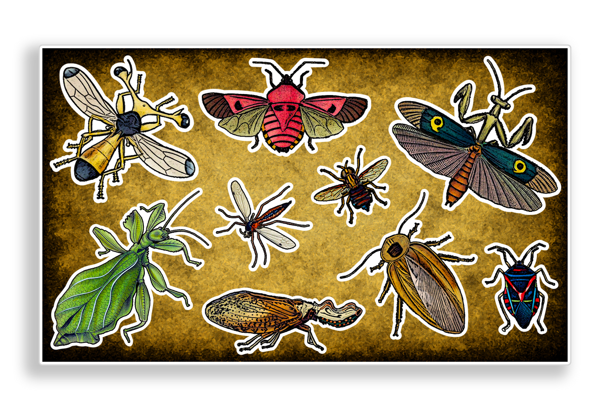 Vintage Entomology Bugs Decal Sticker Sheet Journal Planner Scrapbooking