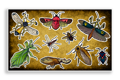 Vintage Entomology Bugs Decal Sticker Sheet Journal Planner Scrapbooking
